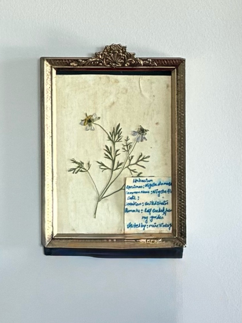 Framed Botanical Pressed Flower Wall Art - Gold Frame